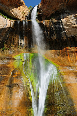 DSC_2234.jpg (4288x2848) NIKON D300 - 18-200mm f/3.5-5.6 // F25 // 1/15 sec // ISO 200 // 29,0 mm // no Flash // 2008:07:14 10:13:26 DSC_2234.jpg (4288x2848) NIKON D300 - 18-200mm f/3.5-5.6 // F25 // 1/15 sec // ISO 200 // 29,0 mm // no Flash // 2008:07:14 10:13:26